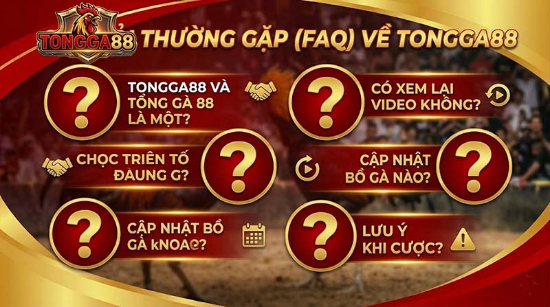 đá gà trực tiếp tongga88