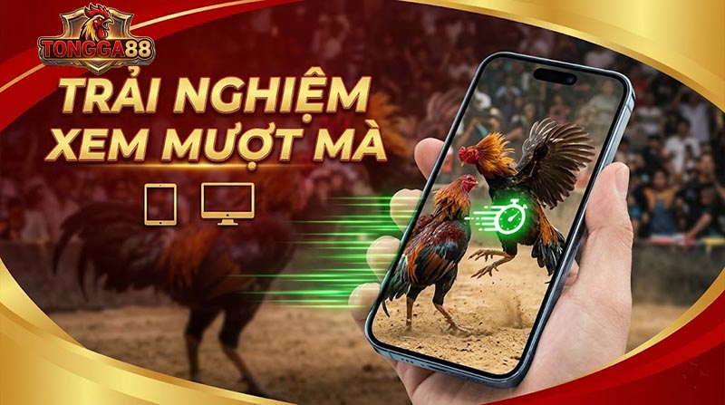 đá gà trực tiếp tongga88
