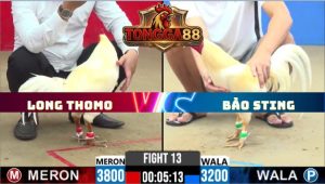 TRẬN 13 CPC2 NGÀY 30/5/2026