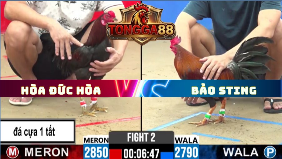 TRẬN 2 CPC2 NGÀY 27/5/2026