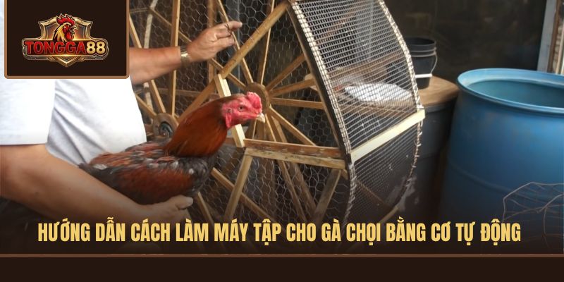 CÁCH LÀM MÁY CHẠY GÀ