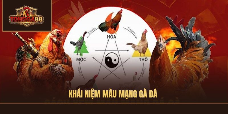 màu mạng gà đá