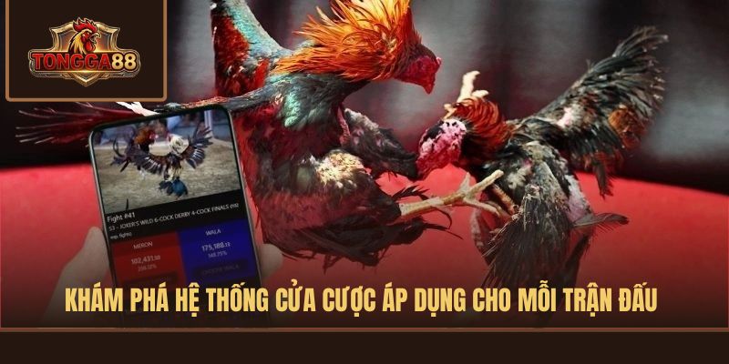đá gà cựa sắt