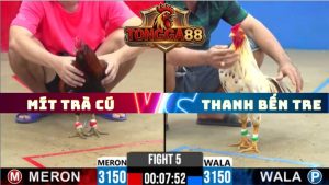 TRẬN 5 CPC2 NGÀY 20/5/2026