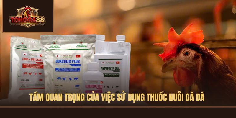 thuốc nuôi gà đá