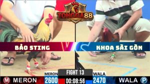 TRẬN 13 CPC2 NGÀY 22/5/2026