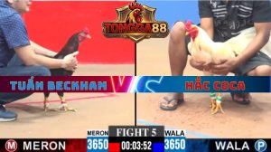 TRẬN 5 CPC3 NGÀY 11/5/2026 - TUẤN BECKHAM GẶP HẮC COCA