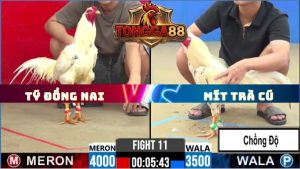 TRẬN 11 CPC2 NGÀY 30/5/2026