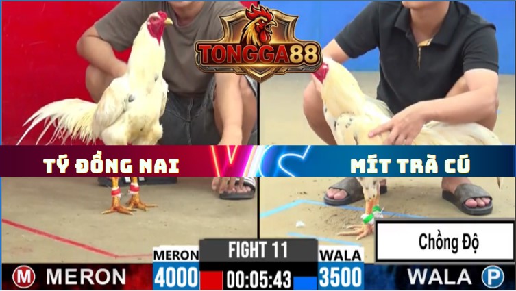 TRẬN 11 CPC2 NGÀY 30/5/2026