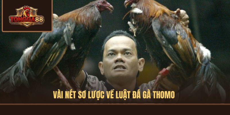 luật đá gà thomo