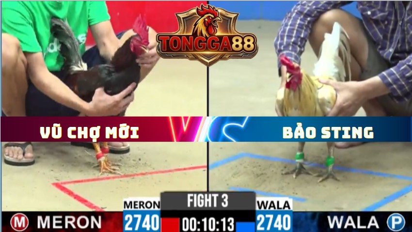 TRẬN 3 CPC2 NGÀY 29/5/2026